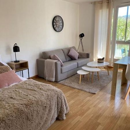 Studio 33 M2 , Climatise, Parking Exterieur Prive Gratuit Amélie-les-Bains-Palalda Extérieur photo